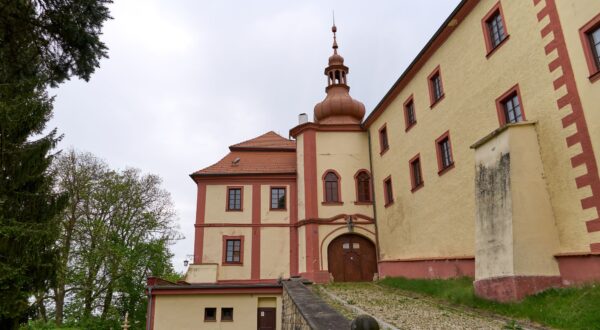 Beiträge