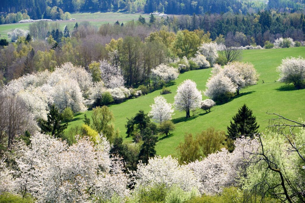 Böhmen Mai 2026
